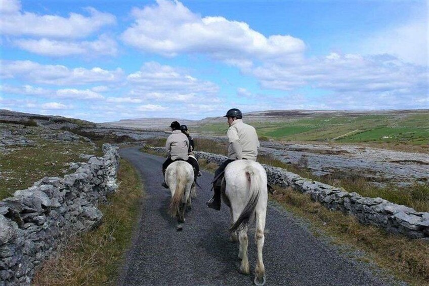 Horse riding - Dirt Trek Trail. Lisdoonvarna, Clare. Guided. 1 hour. 3