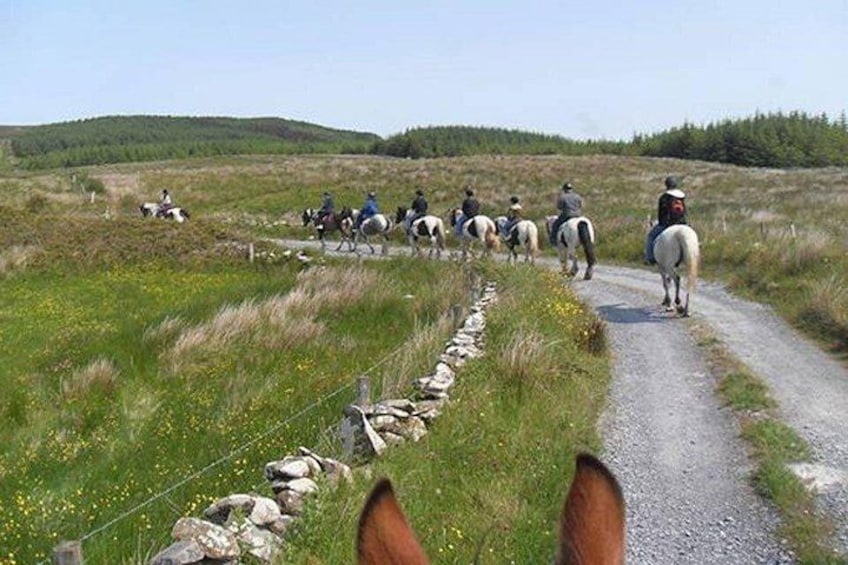 Horse riding - Mountain Trail. Lisdoonvarna, Co Clare. Guided. 2 hours. 3