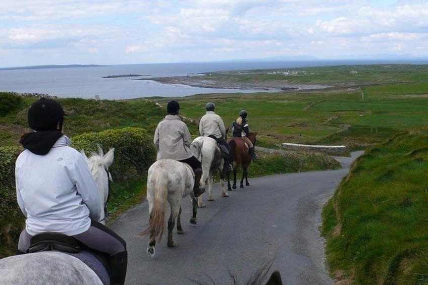 Horse riding - Mountain Trail. Lisdoonvarna, Co Clare. Guided. 2 hours. 1