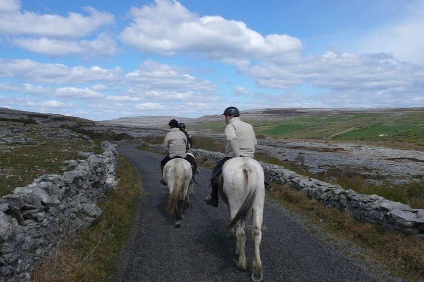 Horse riding - Mountain Trail. Lisdoonvarna, Co Clare. Guided. 2 hours. 2