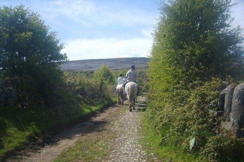 Horse riding - Mountain Trail. Lisdoonvarna, Co Clare. Guided. 2 hours. 2