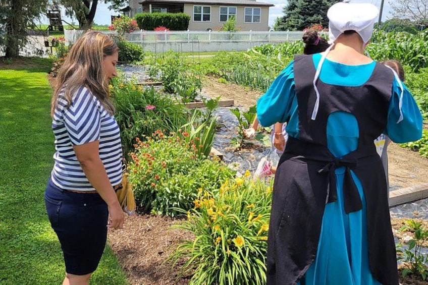 Authentic Tour & Meal with the Amish! 4