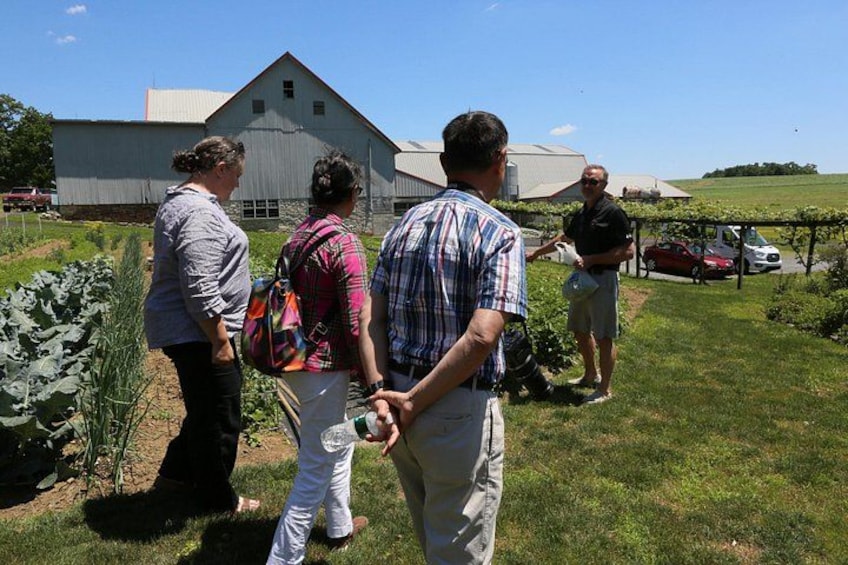 Authentic Tour & Meal with the Amish! 1