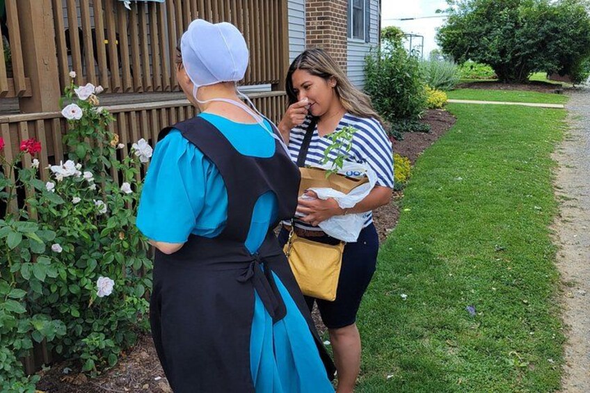 Authentic Tour & Meal with the Amish! 3