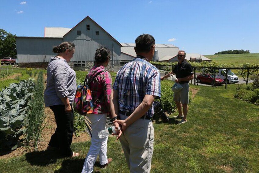 Authentic Tour & Meal with the Amish! 1