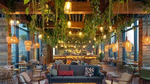 A cozy lounge area with a sofa, chairs, a coffee table, and hanging plants. - Treehouse Hotel London (London)