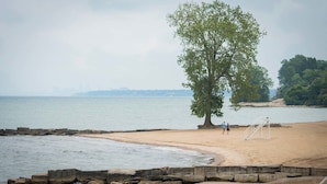 A beach with a large tree, rocky shoreline, and a distant city skyline.