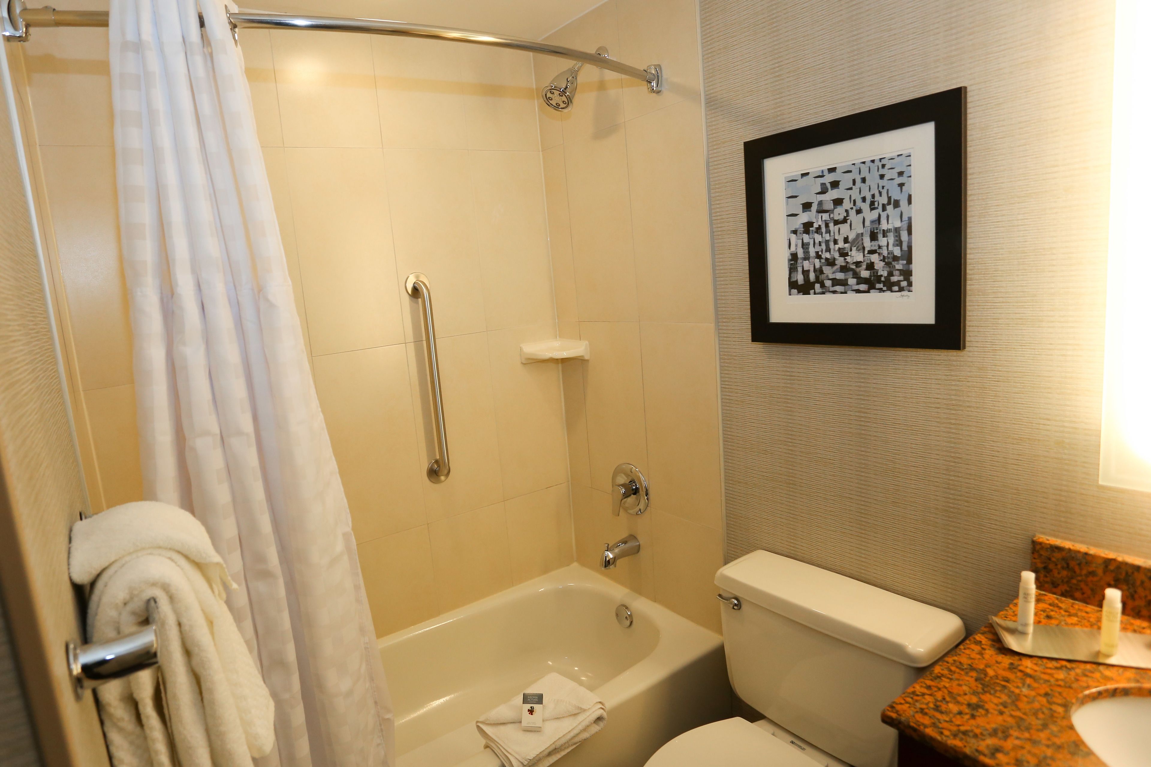 A bathroom with a bathtub, toilet, and a framed picture on the wall.