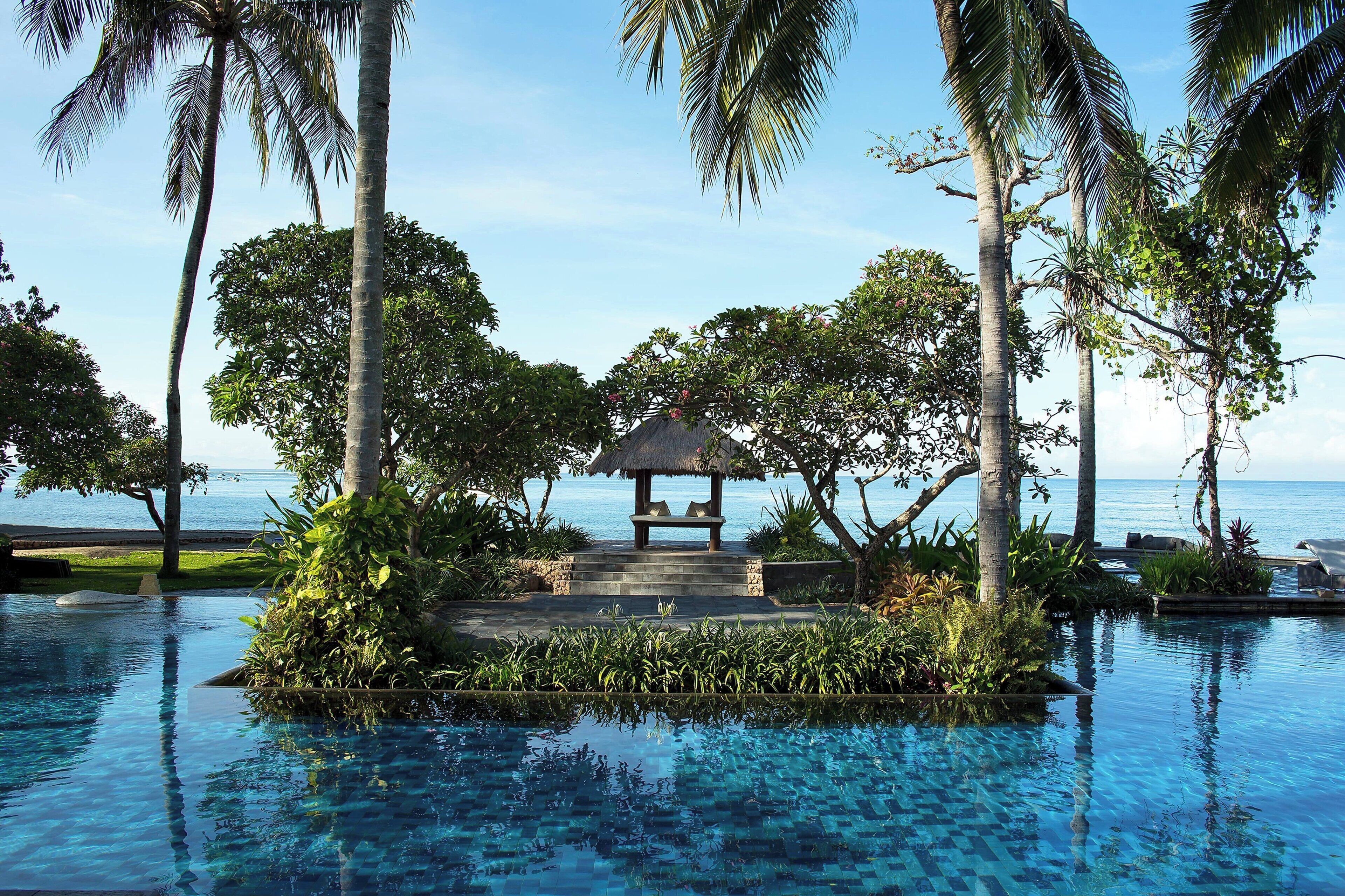 A clear blue pool surrounded by palm trees and a thatched gazebo.
