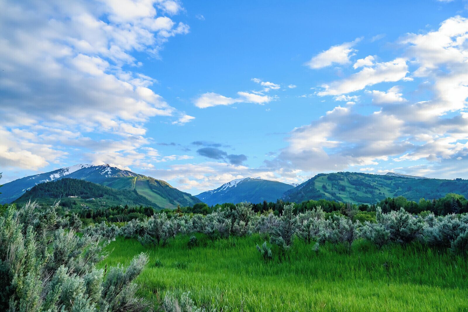 Photo - Aspen Meadows Resort