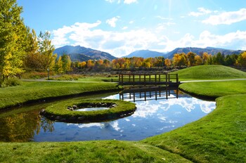 Outdoor wedding area at Aspen Meadows Resort