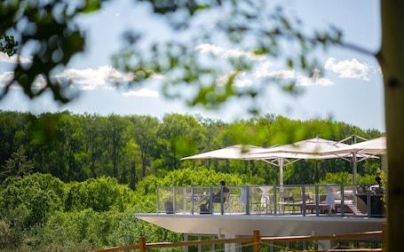 Terrace/patio. Aspen Meadows Resort