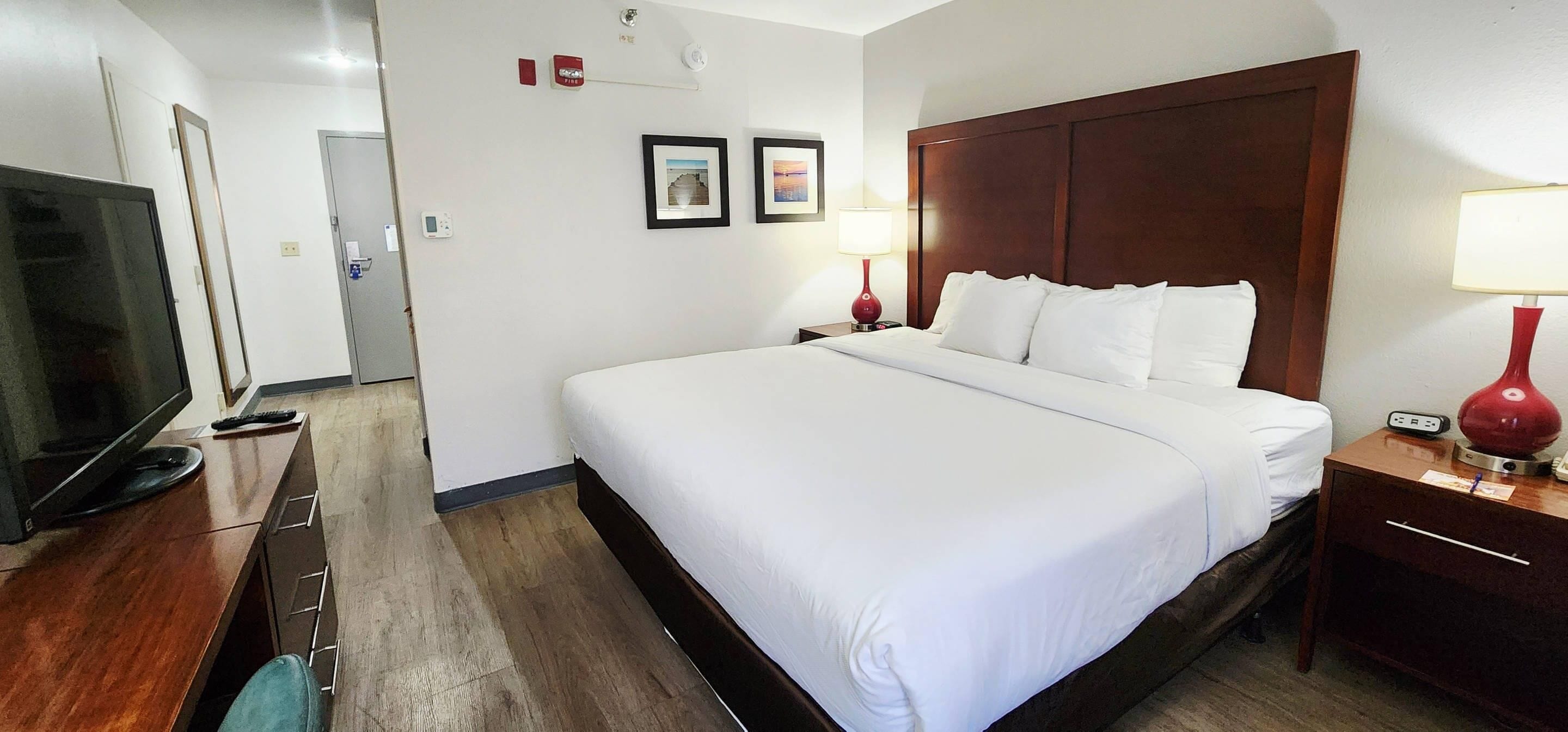 客房, 1 张特大床, 无障碍, 无烟房 | 高档床上用品、办公桌、熨斗/熨衣板、免费 WiFi