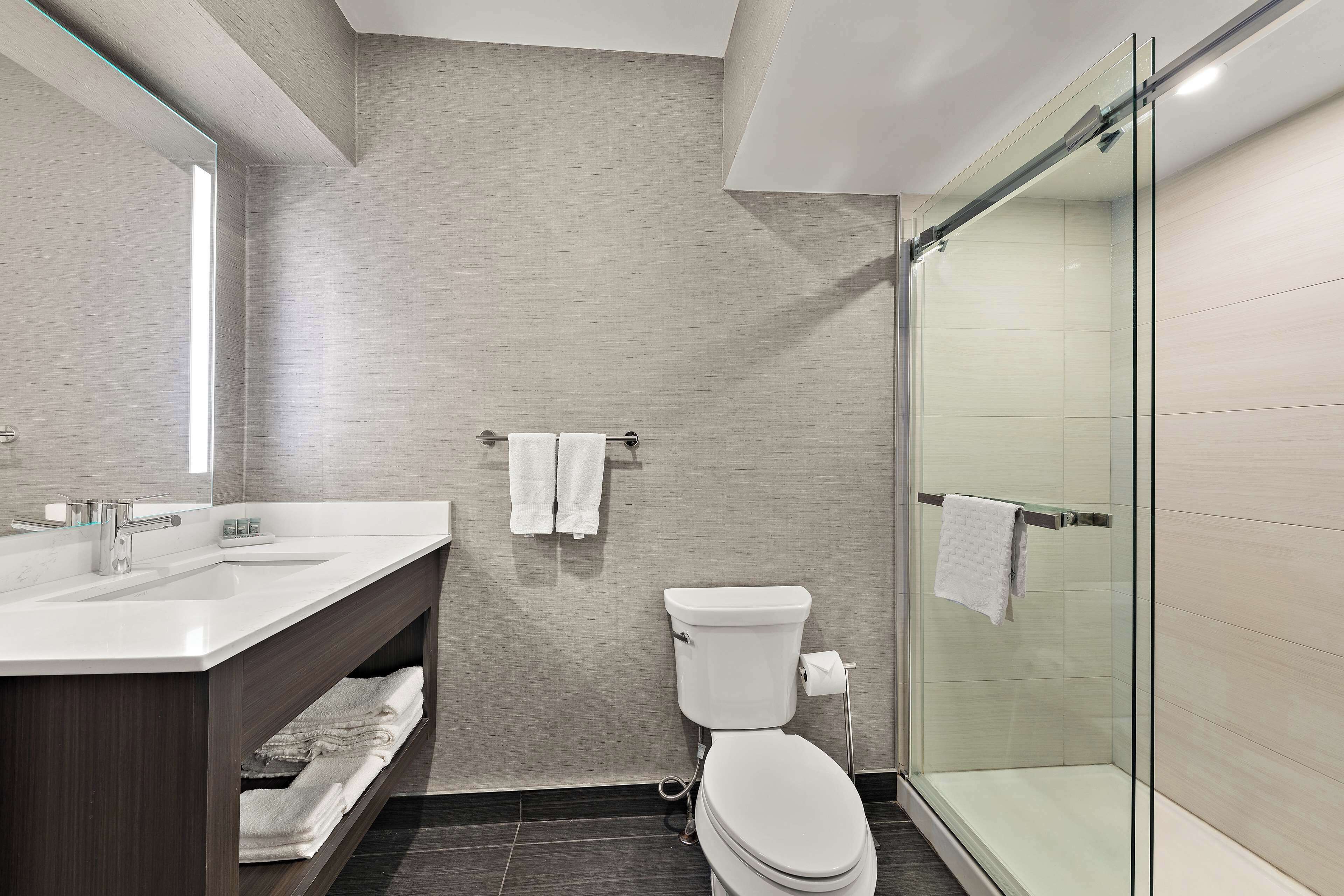 A modern bathroom with a glass-enclosed shower, a white toilet, and a vanity with a mirror and sink.