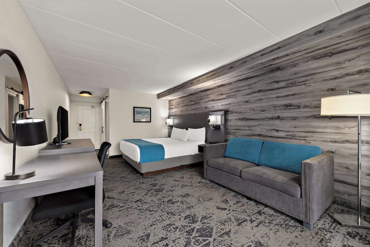 Standard Room, 1 King Bed, Non Smoking, Balcony (Walk-in Shower;with Single Sofabed)
