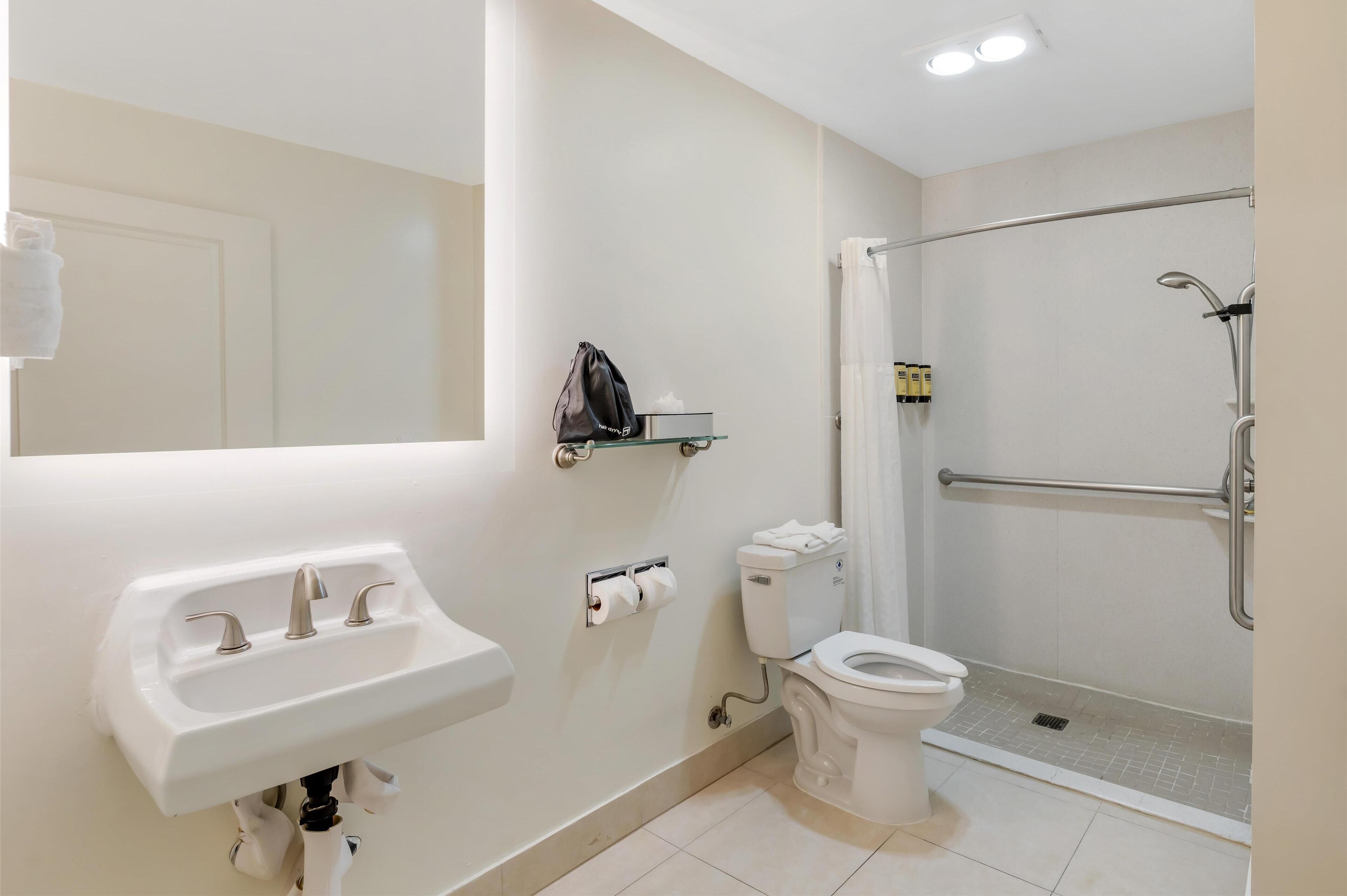 standard room, 1 king bed, accessible, non smoking | bathroom | free toiletries, hair dryer, towels