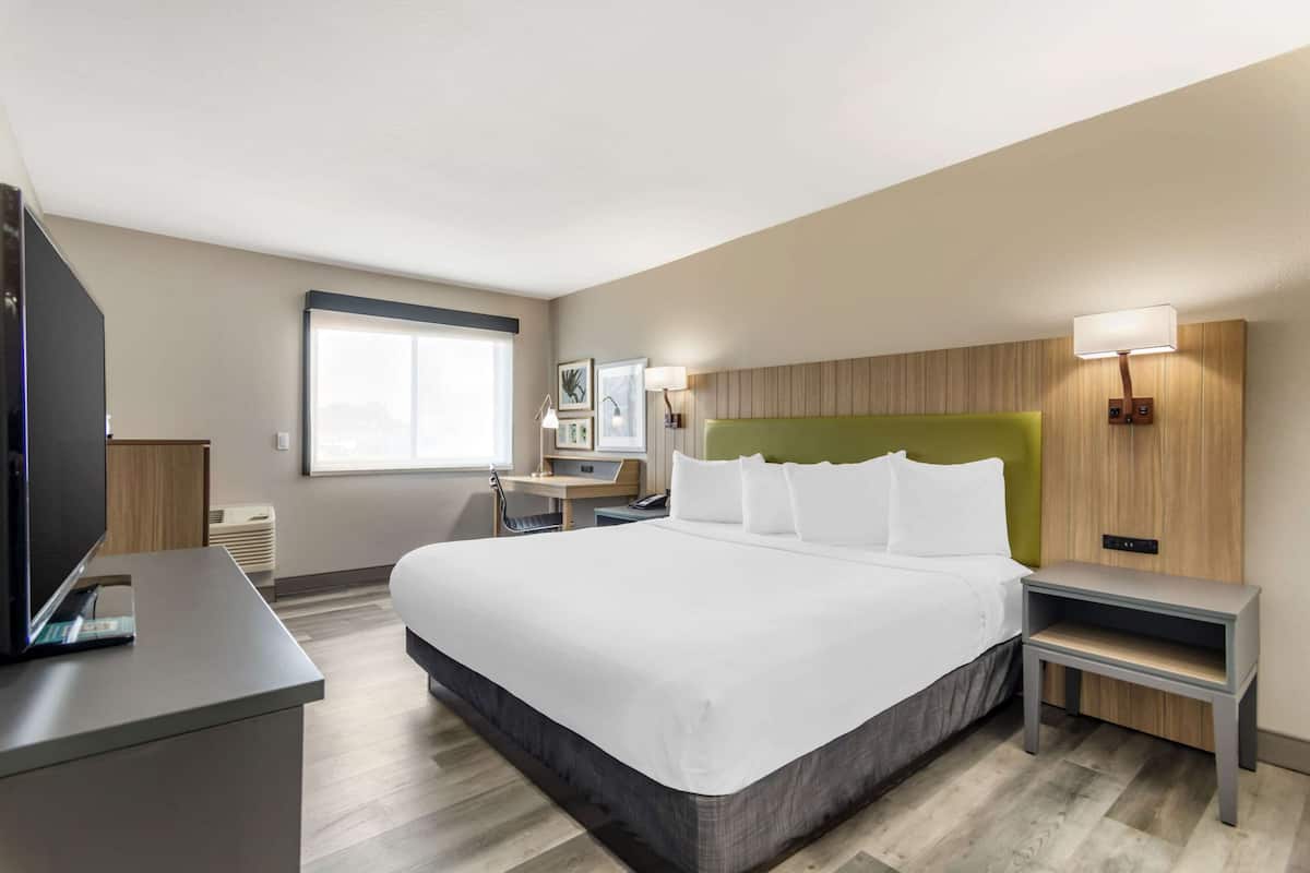 A hotel room with a large bed, bedside tables, a desk, and a television.