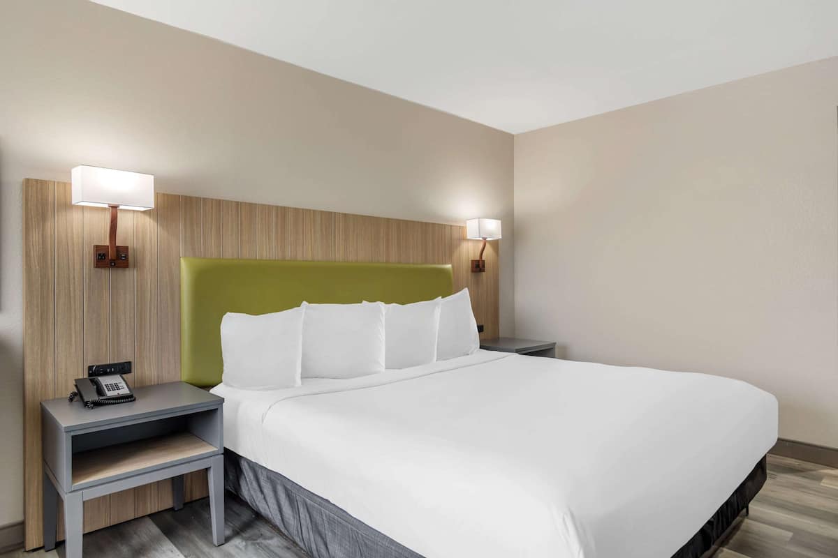 Room, 1 King Bed, Non Smoking | Down comforters, desk, laptop workspace, blackout drapes