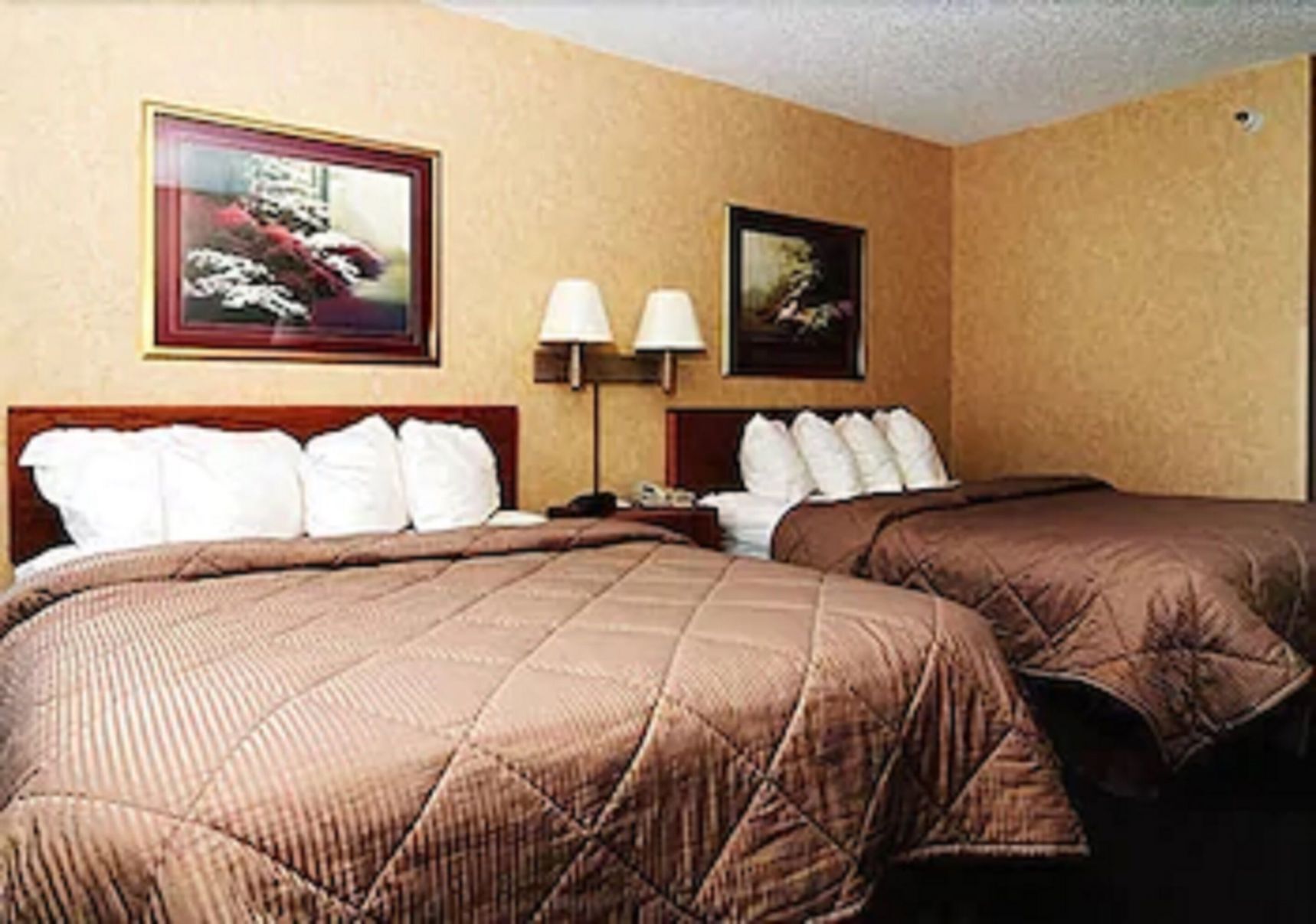Desk, laptop workspace, iron/ironing board, free WiFi