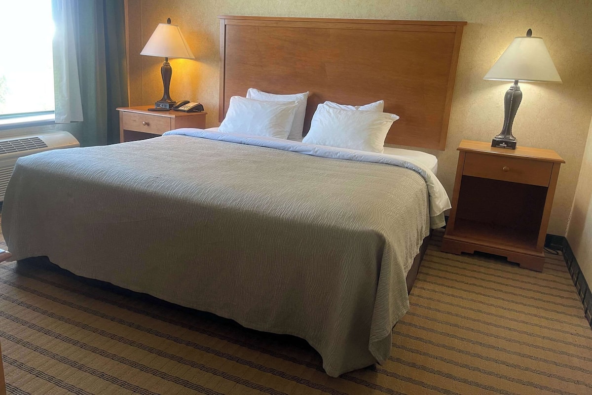 Habitación de hotel con una cama grande, dos mesitas de noche con lámparas, un cabecero de madera y piso alfombrado.