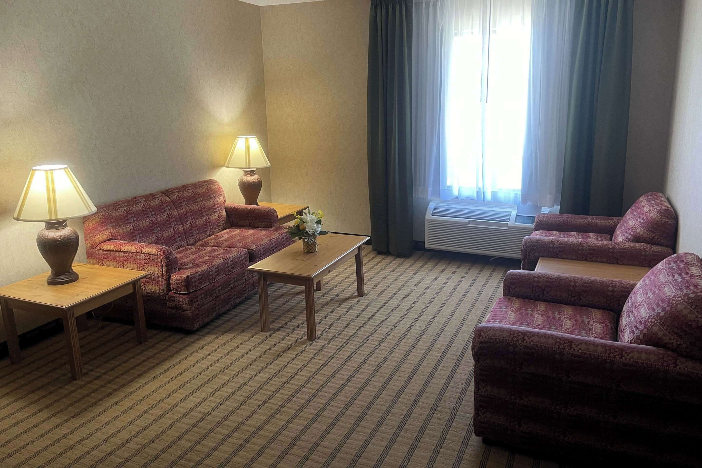 Une chambre d’hôtel avec une moquette à motifs, deux canapés, deux tables d’appoint avec des lampes, une petite table avec un vase et un appareil de climatisation près de la fenêtre.
