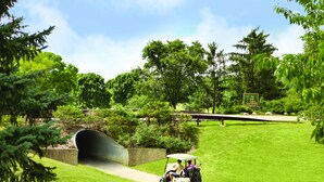 A golf cart on a well-maintained path with a tunnel and lush greenery.