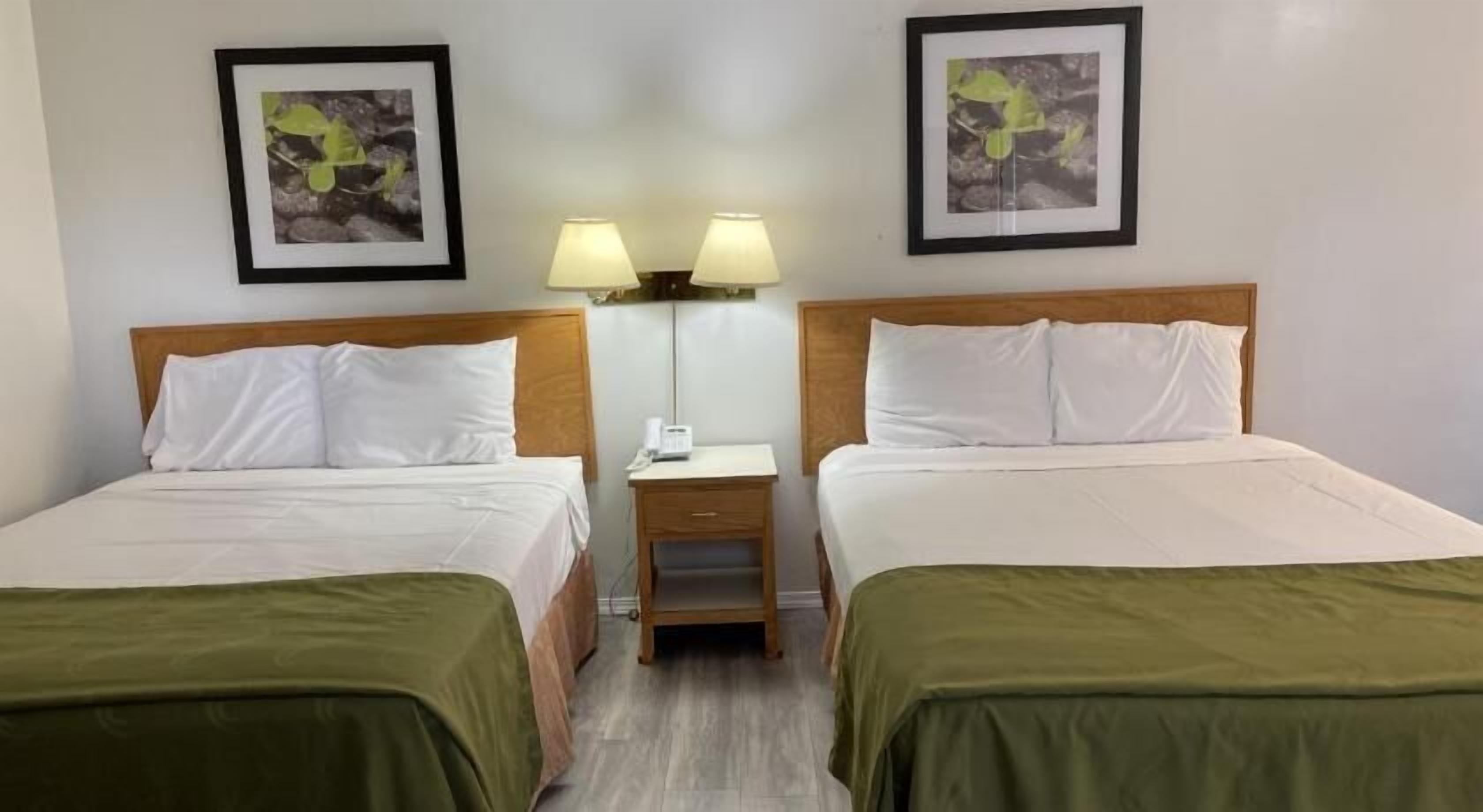 مكتب وواي فاي مجانًا وملاءات أسرّة