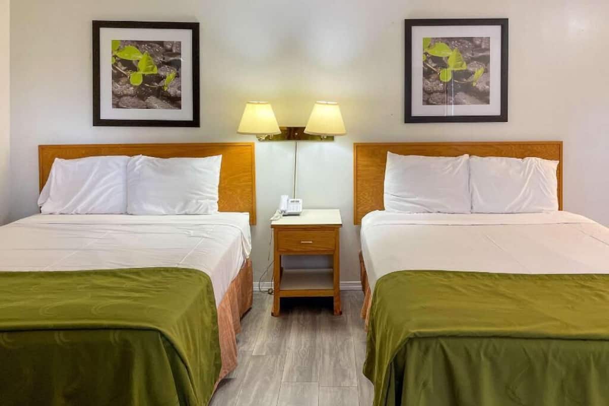 Desk, free WiFi, bed sheets