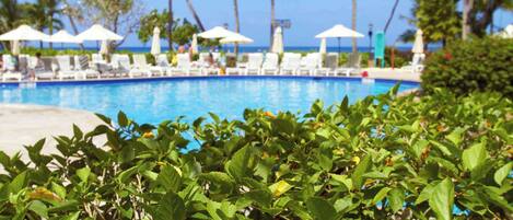 Un área de piscina con sillones de descanso y sombrillas, rodeada de palmeras y follaje.