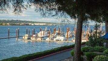 A marina with boats docked, a clear sky, and a tree in the foreground.