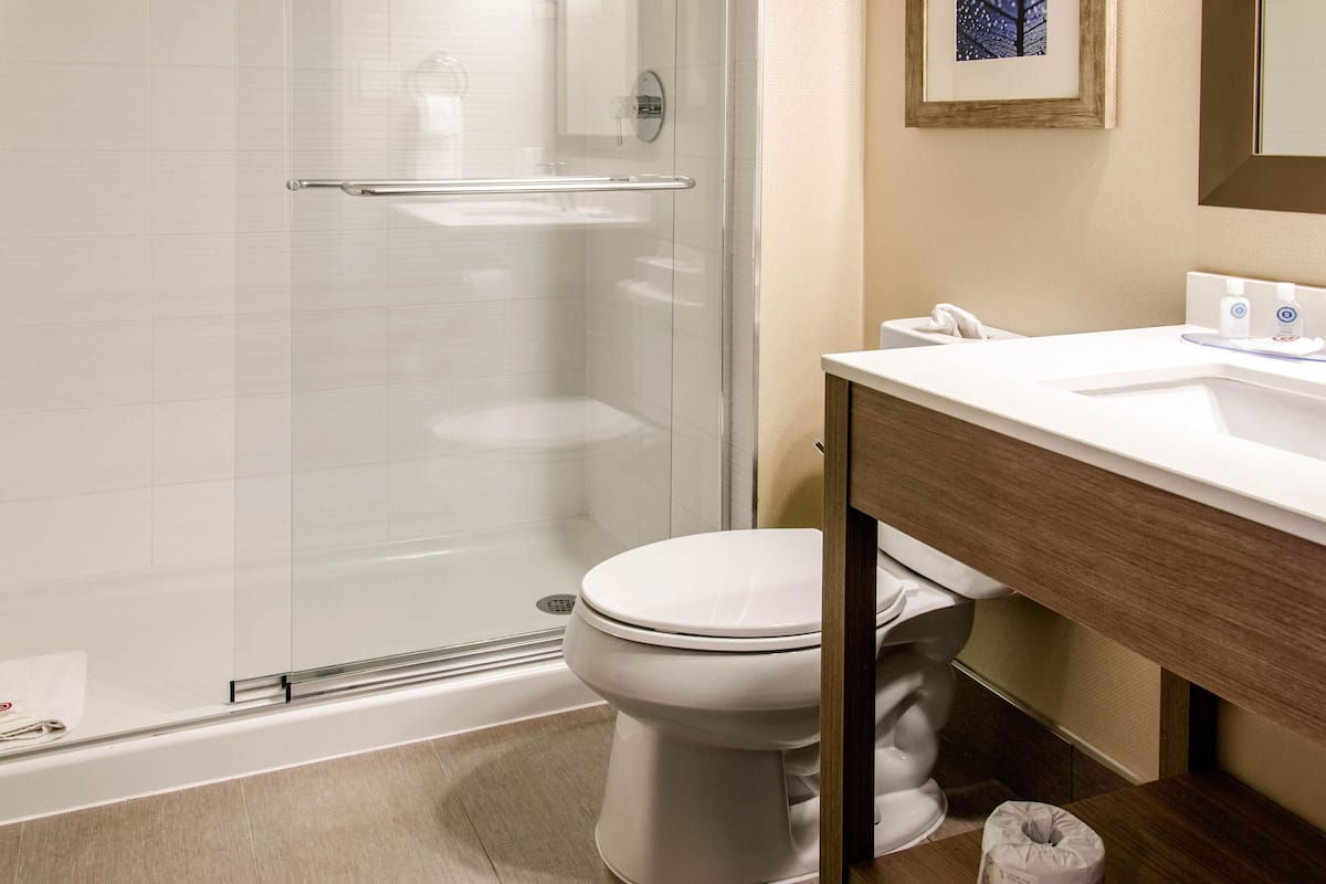 room, 1 king bed, non smoking (ground floor) | bathroom | eco-friendly toiletries, hair dryer, towels