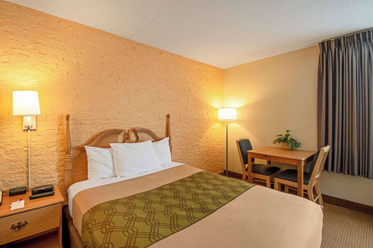 A hotel room with a bed, bedside tables, a desk with a chair, a lamp, and a plant.