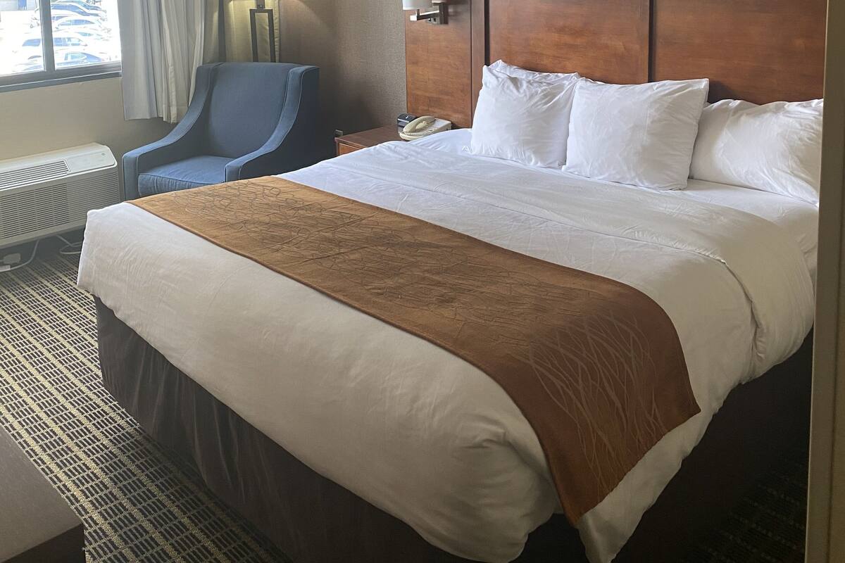 A hotel room with a large bed, a desk, a chair, a lamp, and a view of the outside.