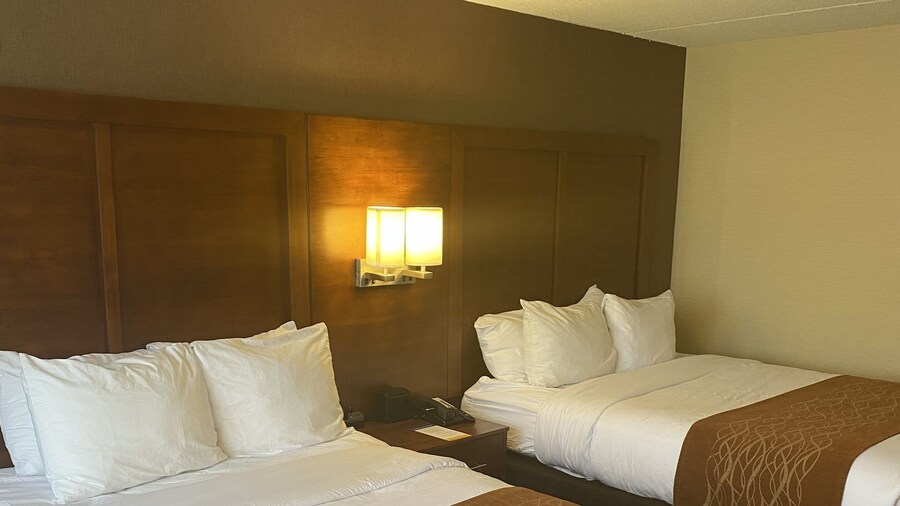 Comfort Inn - Springfield