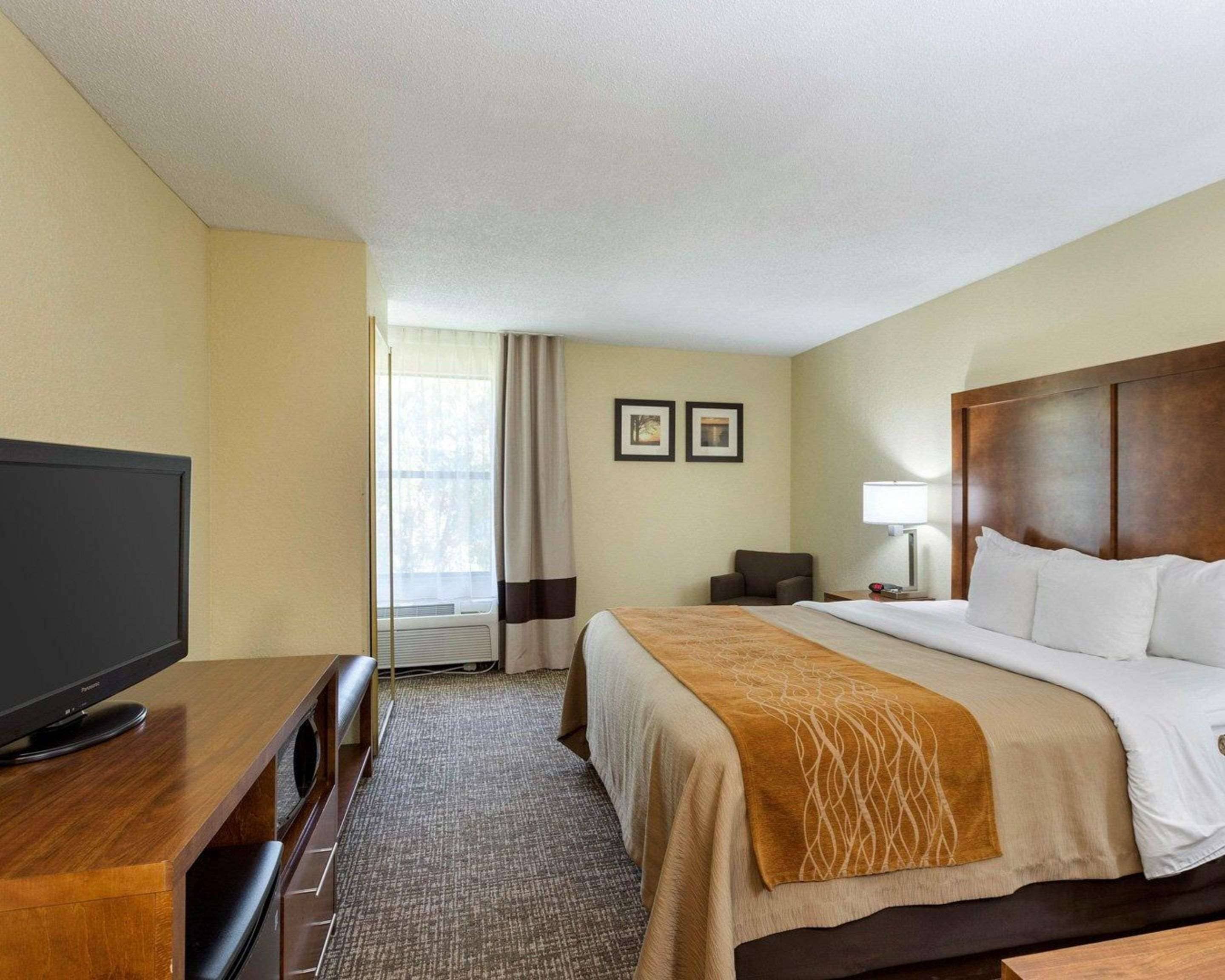 Habitación de hotel con una cama, un televisor sobre un escritorio de madera, una lámpara y dos cuadros en la pared.