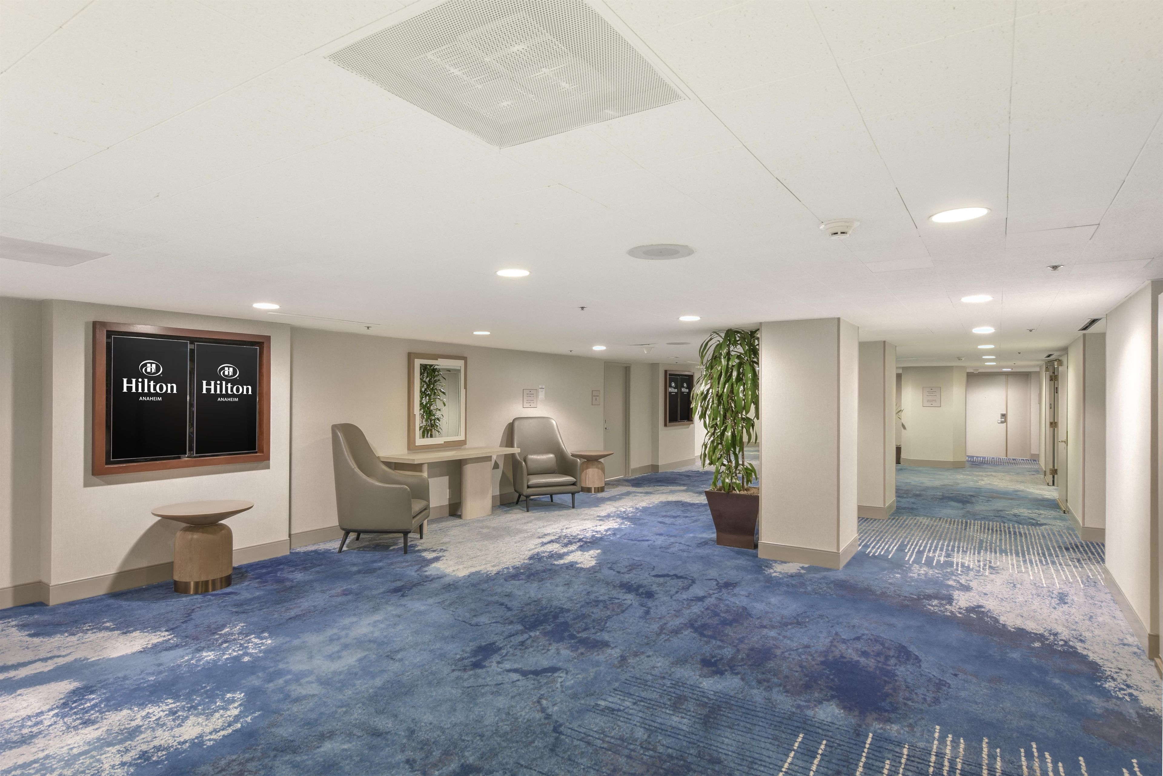 Un hall de hotel con alfombra azul, zona de estar y una planta grande en maceta.