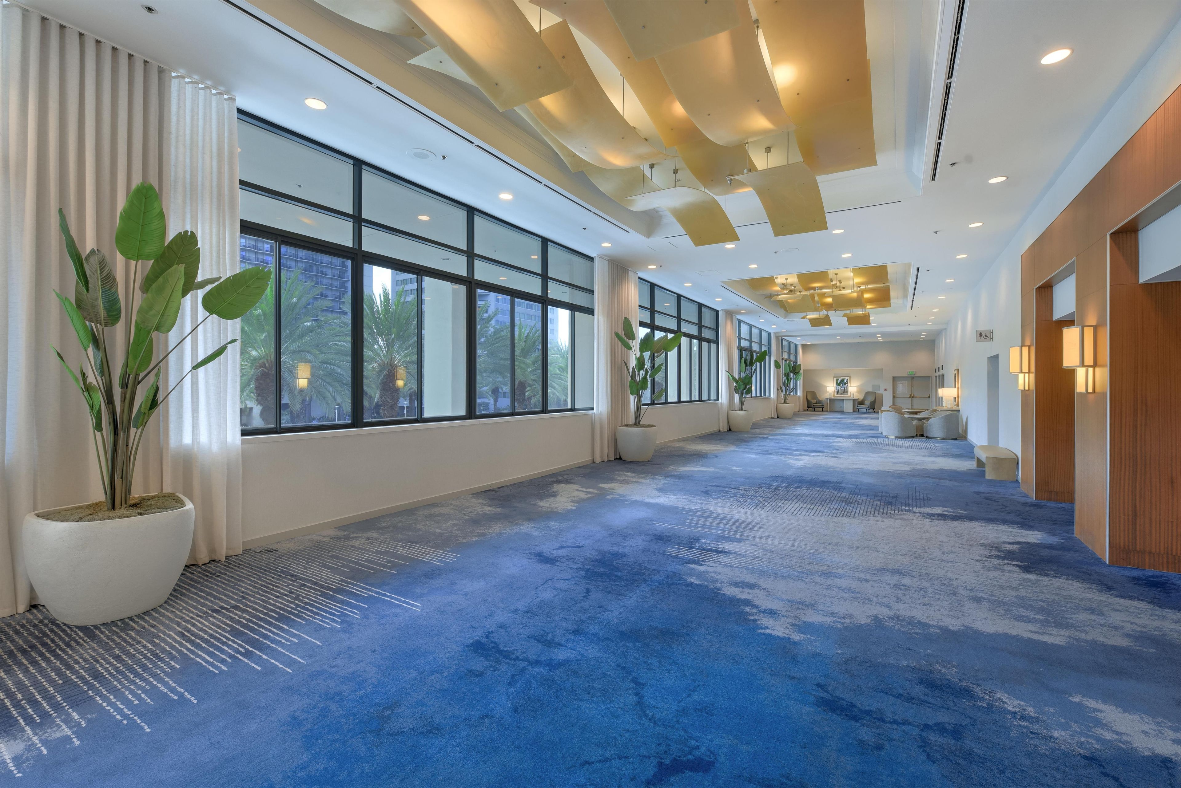 A spacious hotel corridor with large windows, potted plants, and a blue carpet.