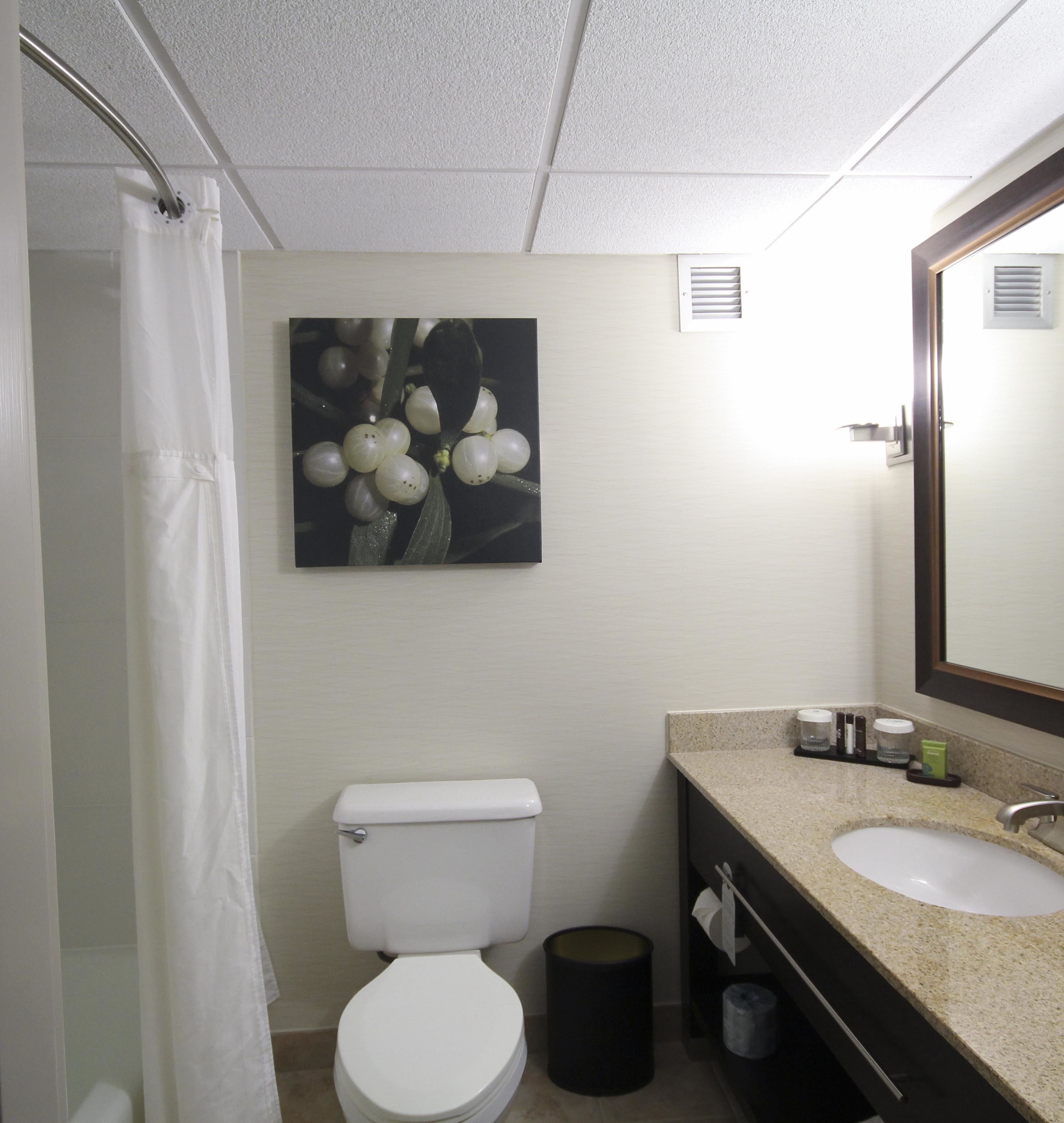 combined shower/bathtub, free toiletries, hair dryer, towels