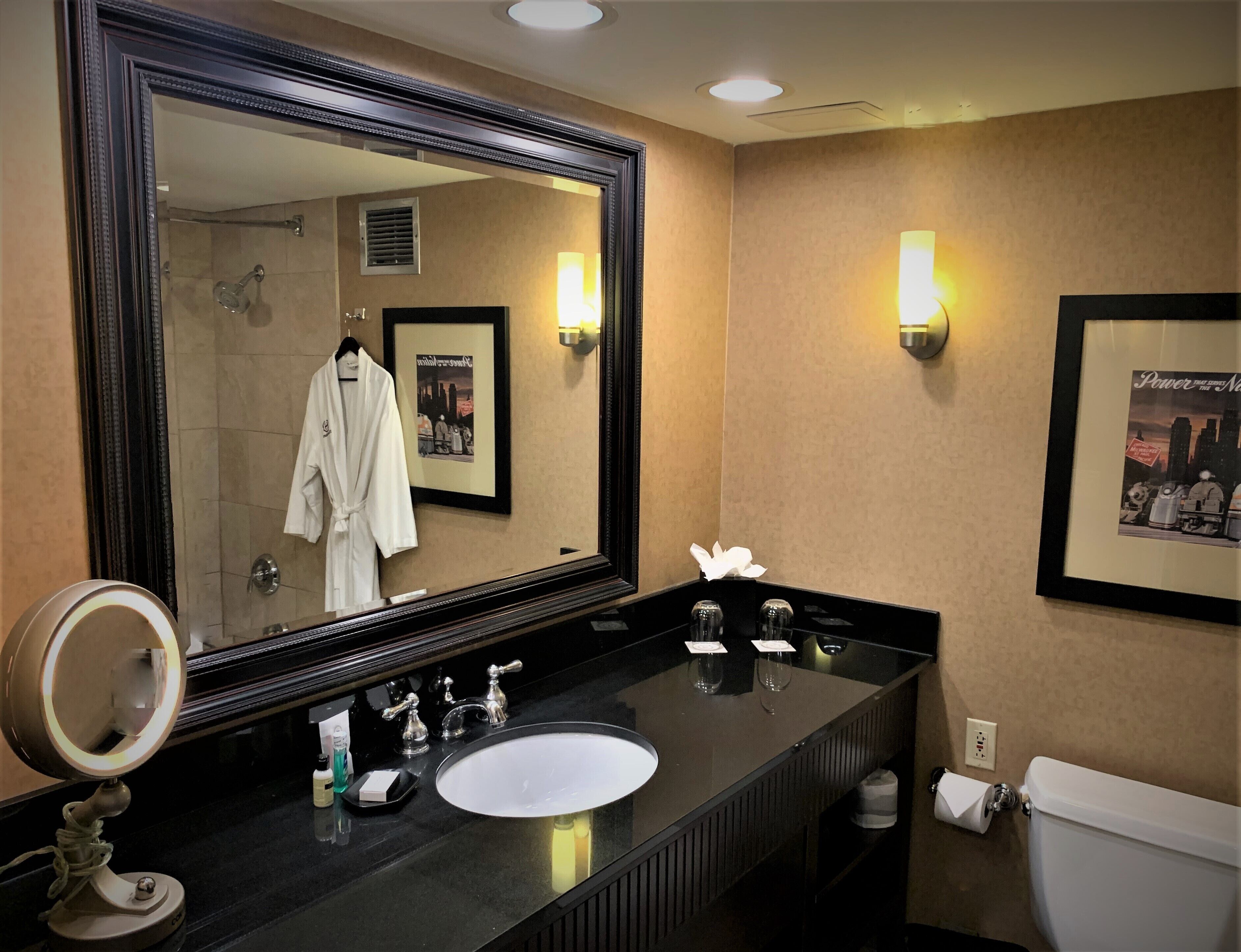 Foto - Sheraton Lisle Naperville Hotel