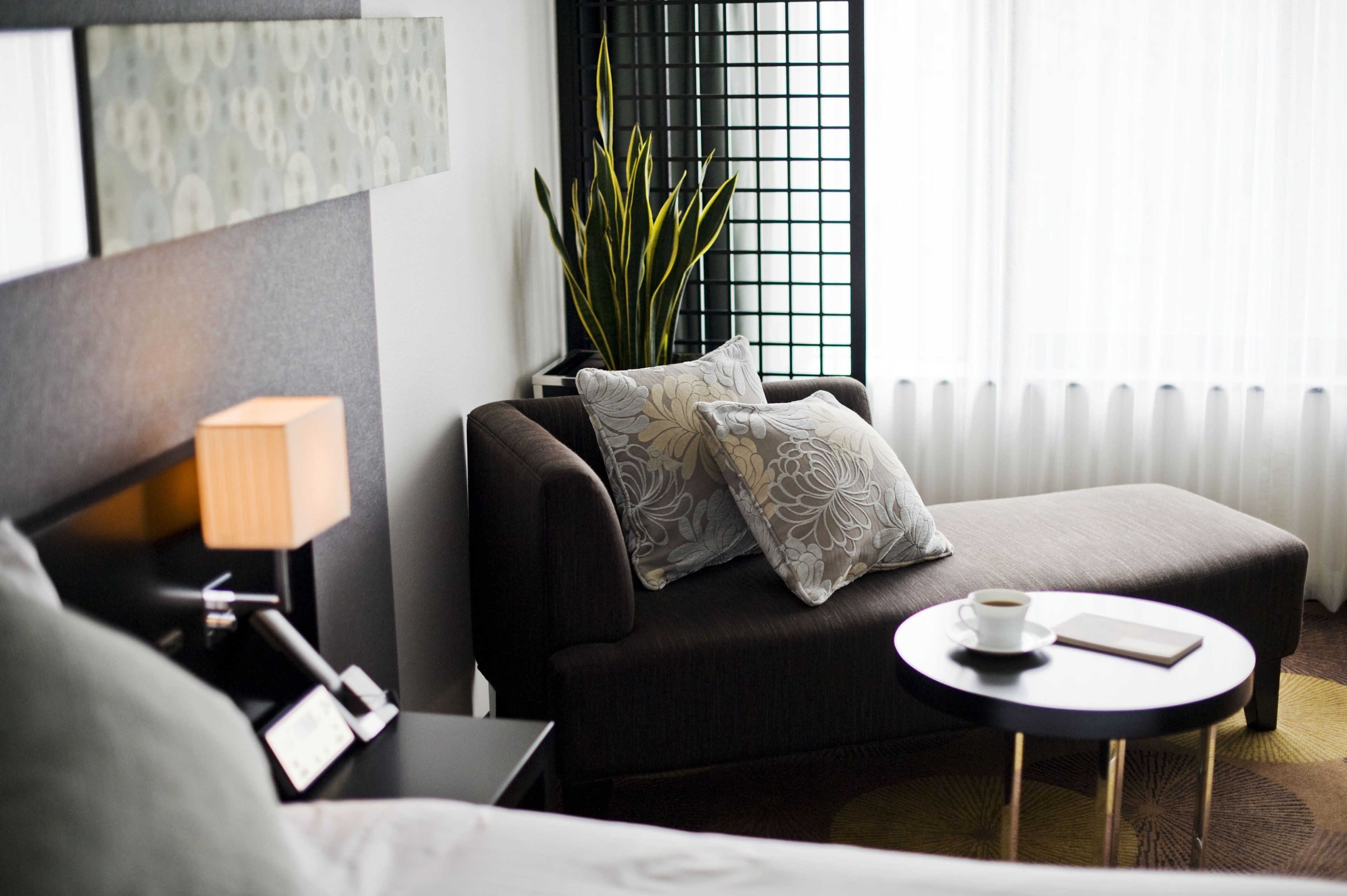 A modern hotel room with a sofa, a small round table with a cup and book, a lamp, and a large plant.