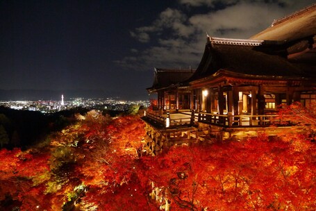 Kyoto Brighton Hotel - Image 3