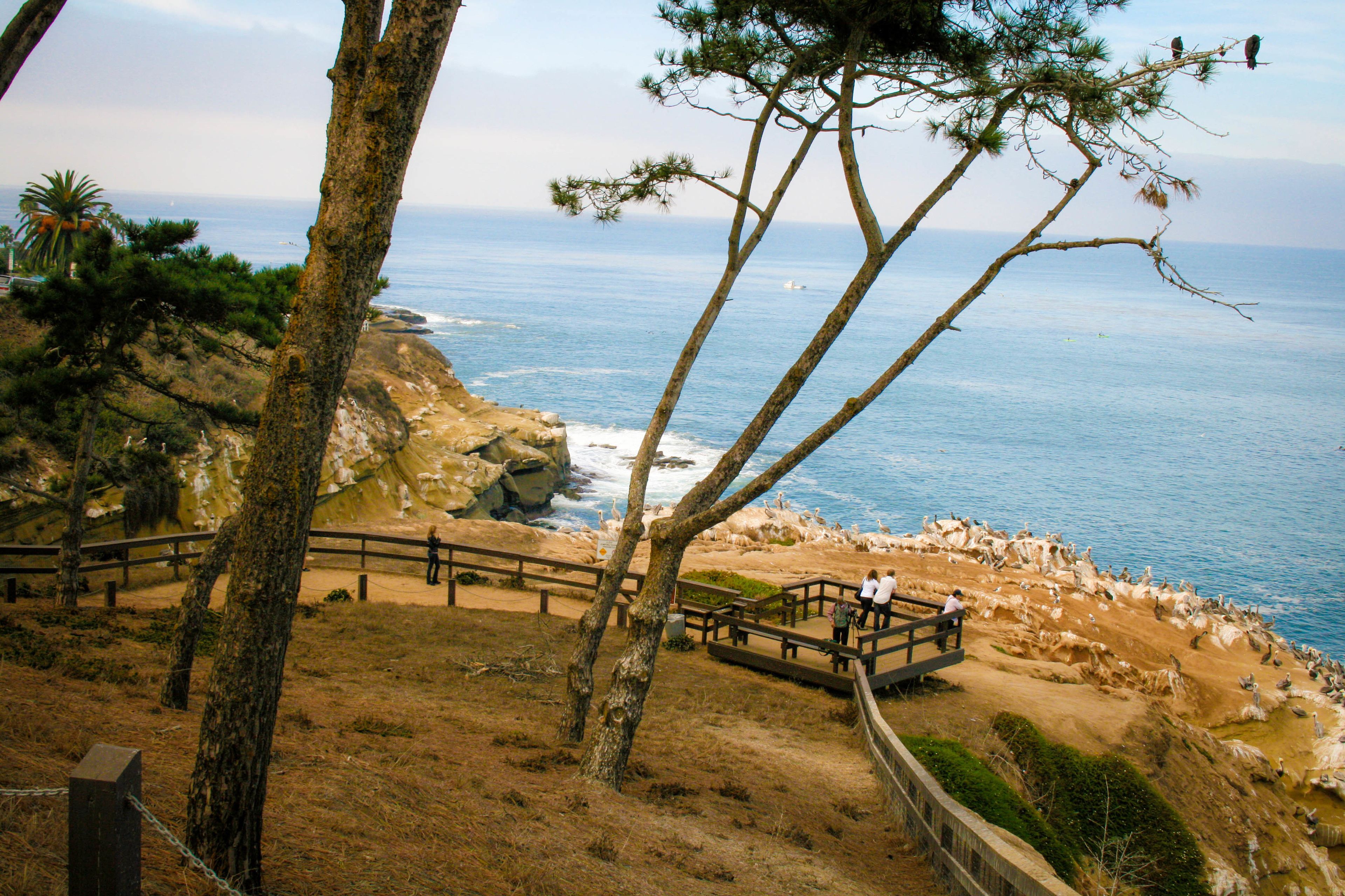 Foto - La Jolla Cove Suites