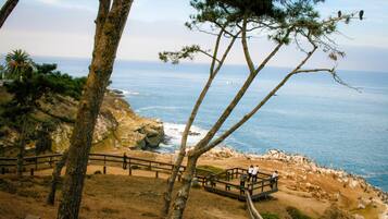 A coastal viewpoint with a wooden deck overlooking the ocean, rocky terrain, and sparse vegetation.