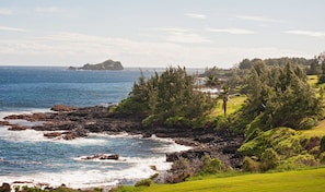 A coastal landscape with rocky shores, green grass, and a distant island.