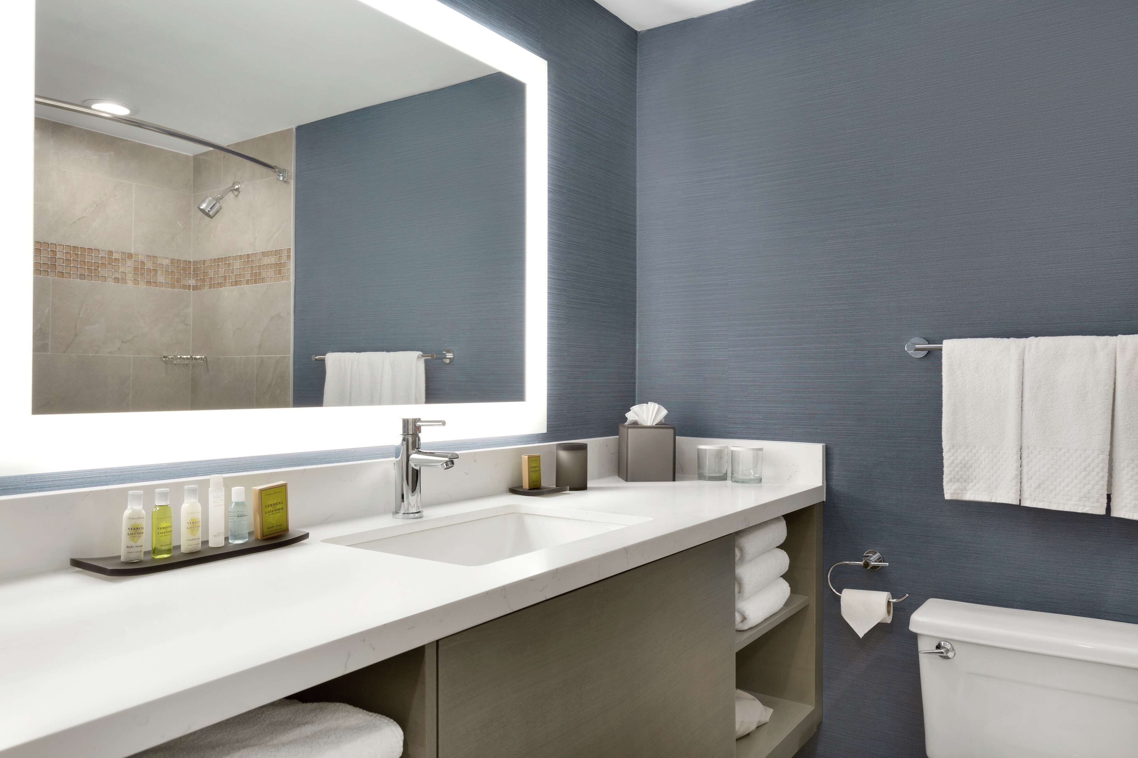 suite, 1 king bed | bathroom | combined shower/bathtub, free toiletries, hair dryer, towels