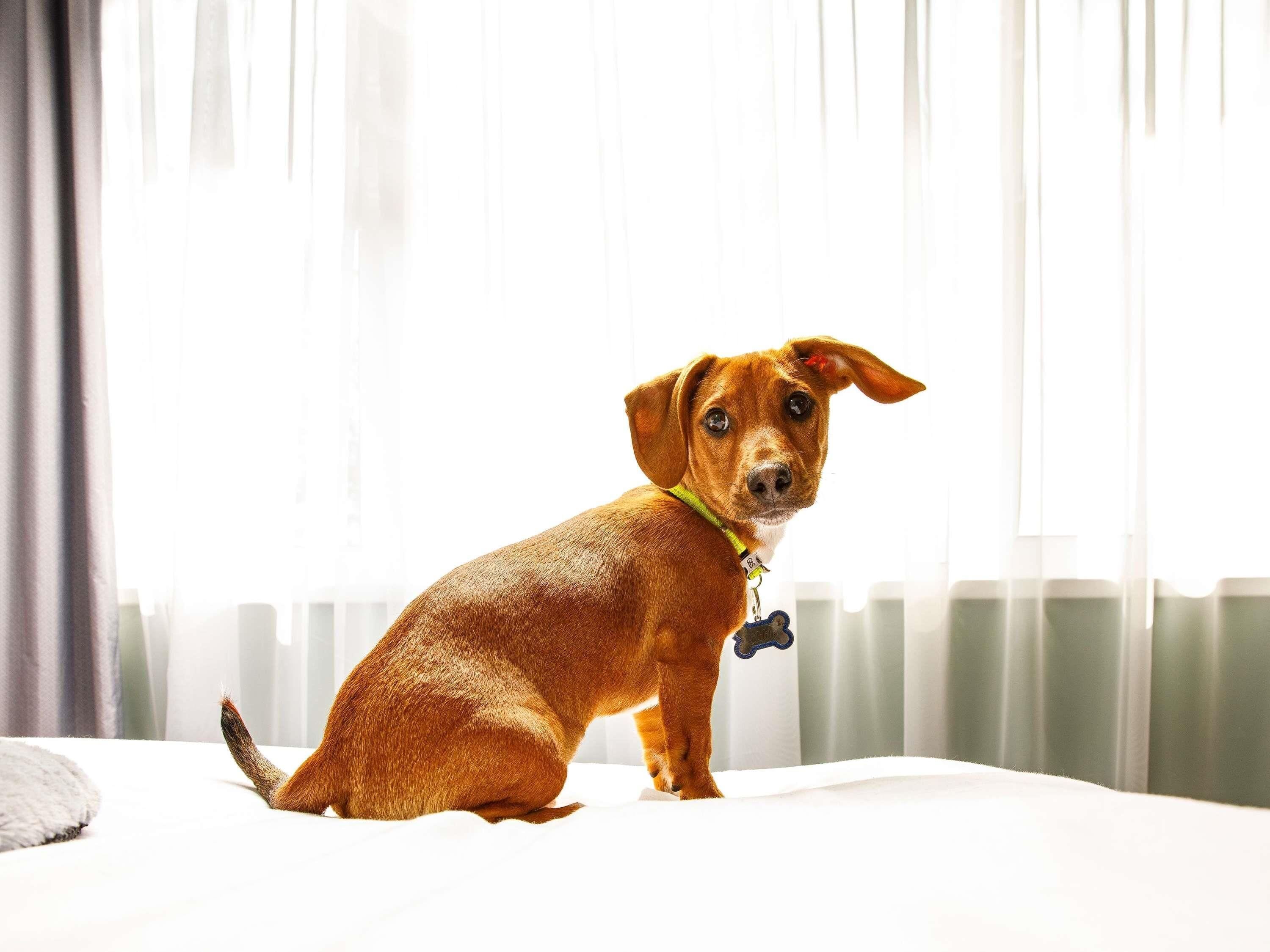 Photo - The Harlow Hotel By AccorHotels