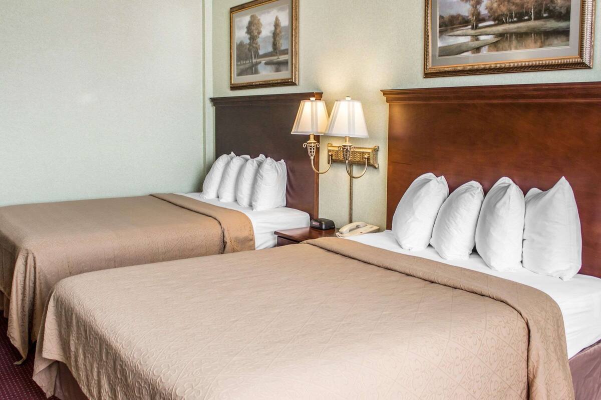 standard room, 2 queen beds, non smoking | iron/ironing board, free wifi, bed sheets