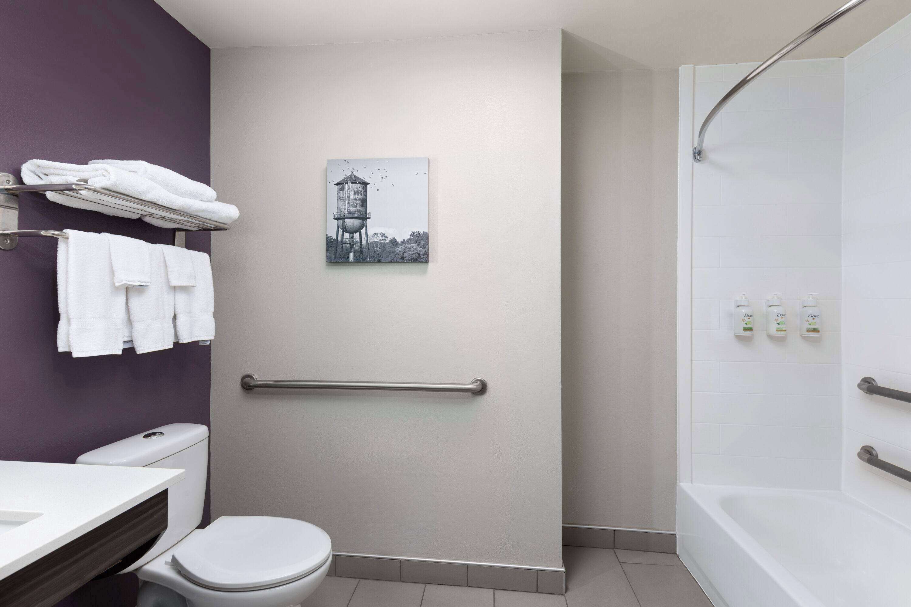 Ein modernes Badezimmer mit Toilette, Waschbecken und Dusche. Es gibt Haltegriffe und ein Bild an der Wand.