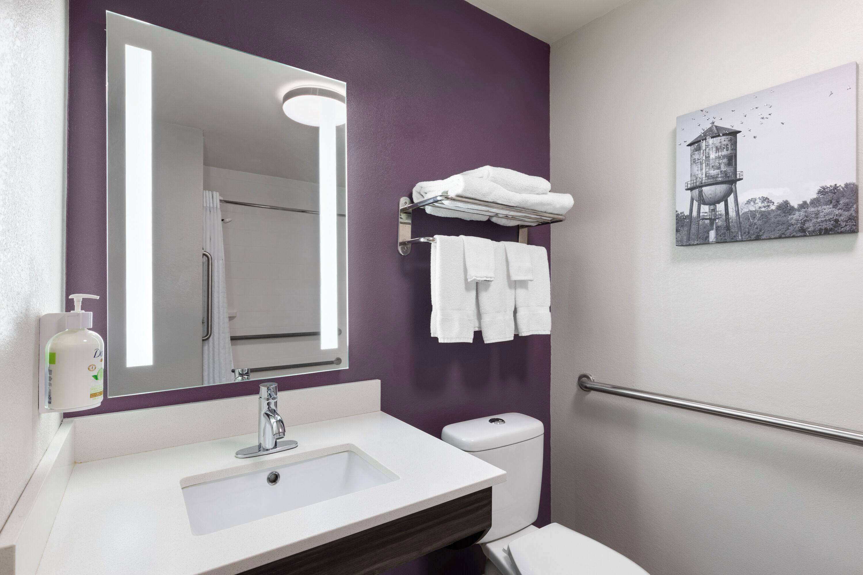 room, 1 king bed, accessible, non smoking (mobility accessible) | accessible bathroom