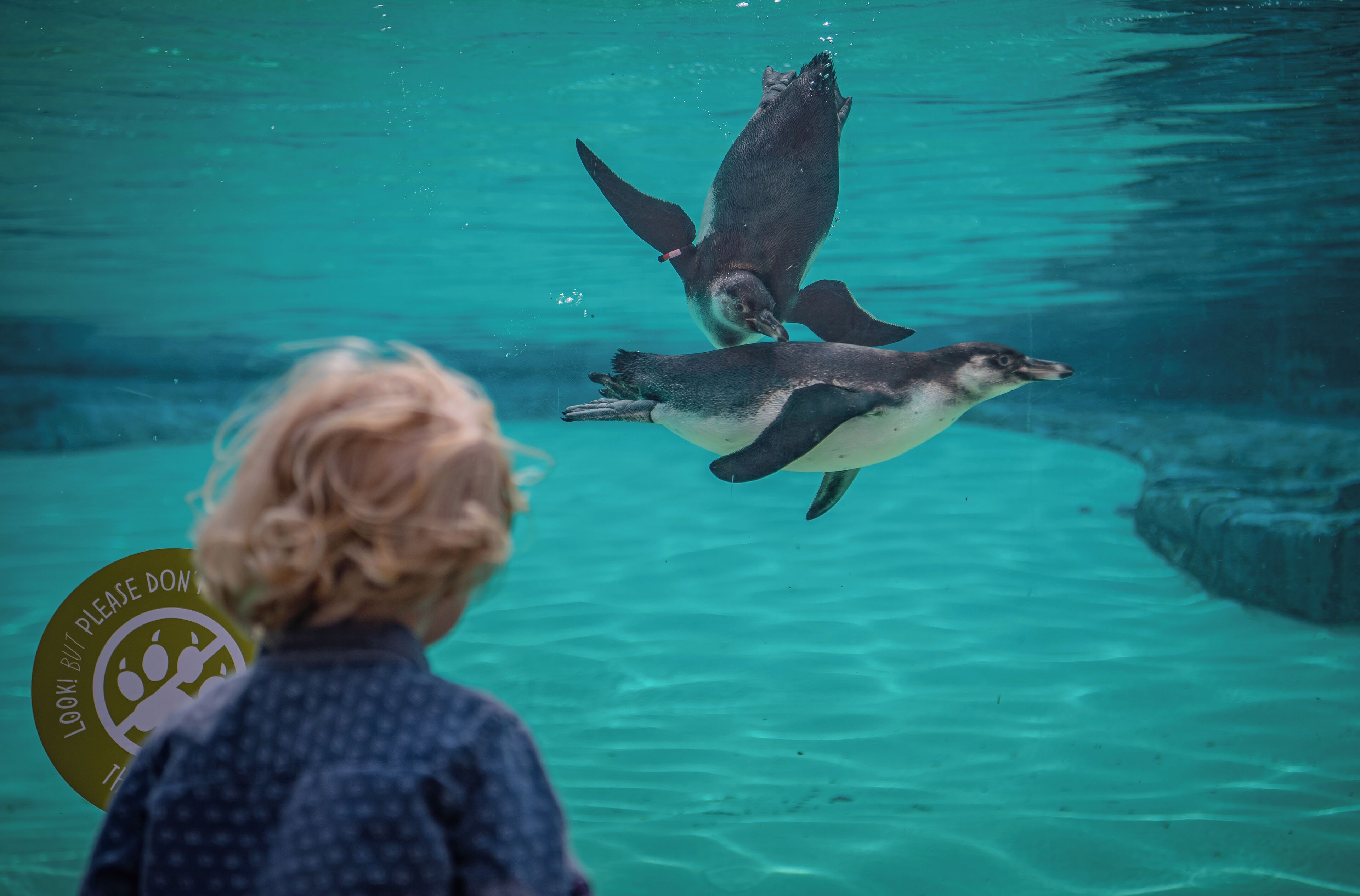 children’s activities